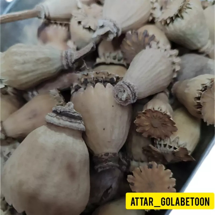 غوزه شقایق(۵۰ گرم)-عطار گلابتون