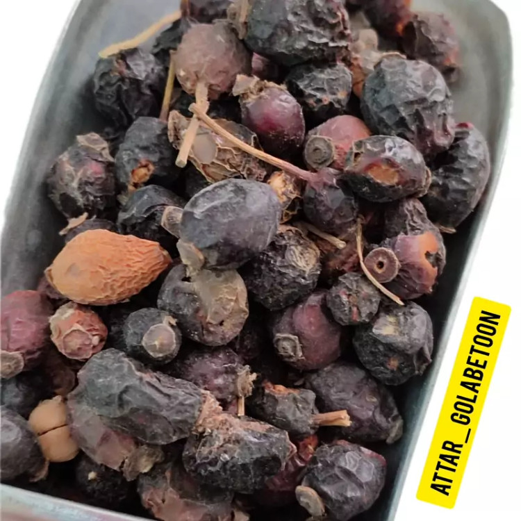 میوه نسترن(100 گرم)-عطار گلابتون