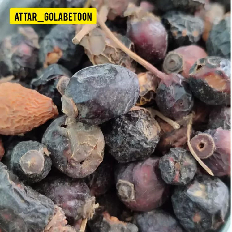 میوه نسترن(100 گرم)-عطار گلابتون