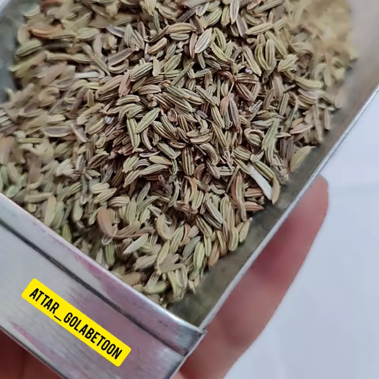 رازیانه(100 گرمی)-عطار گلابتون