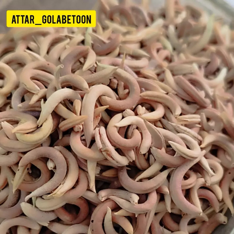 ناخنک(100 گرم)-عطار گلابتون