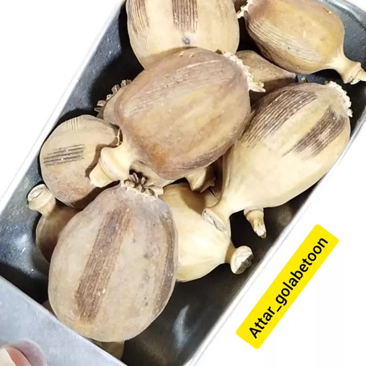 غوزه کوکنار(100 گرم)-عطار گلابتون