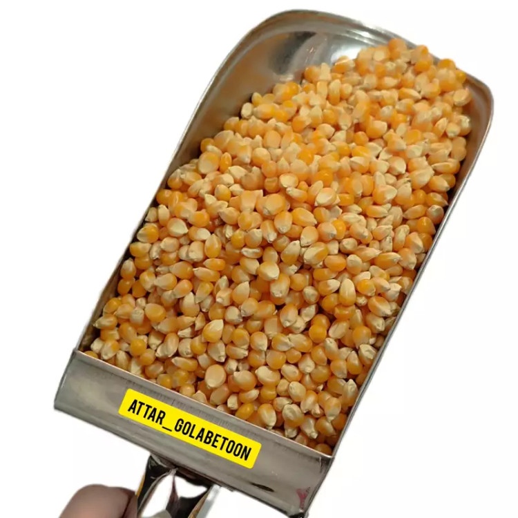 ذرت خشک(500 گرم)-عطار گلابتون