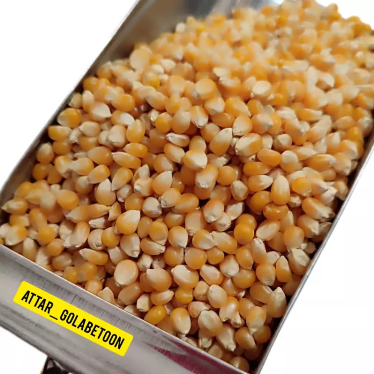 ذرت خشک(500 گرم)-عطار گلابتون