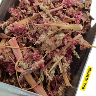 تاج خروس(100 گرم)-عطار گلابتون
