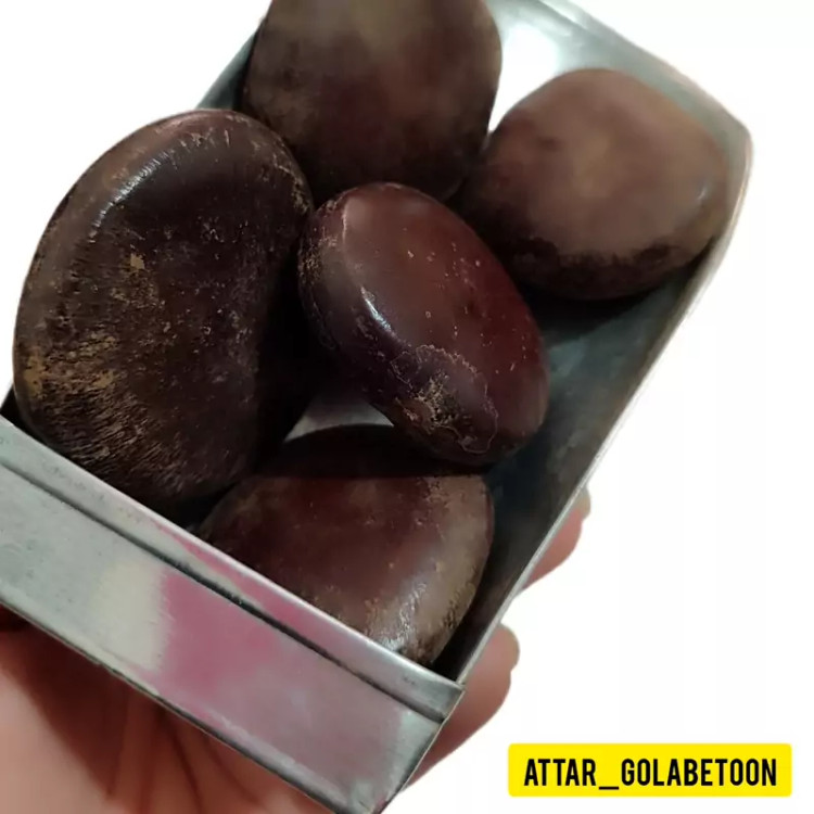 میوه کمر(100 گرم)-عطار گلابتون