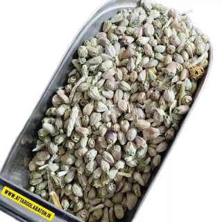تخم کنگر(۱۰۰ گرم) ـ عطار گلابتون
